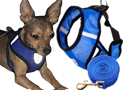 Arnés antitirones para perros con correa, talla M – XL