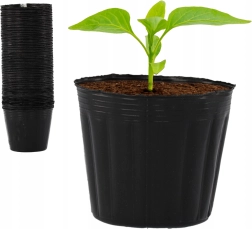 Juego de 100 macetas para pre-cultivo de plantones 7,5 × 6,7 cm