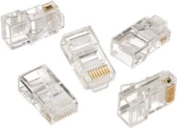 Conector de red RJ45 para cable rígido (100 uds)
