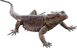 Lagarto de plástico: figura realista para niños