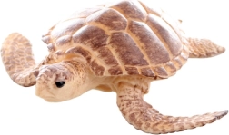 Figura de plástico de tortuga marina 9 cm