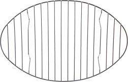 Rejilla de acero inoxidable para asador 32,5 × 21 cm ORION