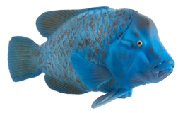 Figura Mojo de pyskoun verde-azulado – juguete animal realista
