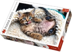 Puzle de 1000 piezas - Gatito alegre Trefl