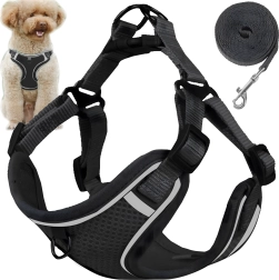 Arnés de seguridad antitirones para perros pequeños y gatos con correa de 150 cm, talla M