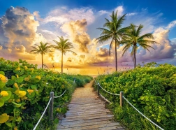 Puzzle de 3000 piezas Colorful Sunrise in Miami