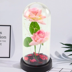 Rosas eternas en cúpula con iluminación LED y pétalos de rosa