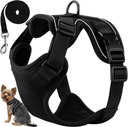 Arneses sin presión para perros y gatos Purlov talla S con correa