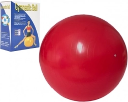 Pelota de gimnasia para ejercicio y relajación