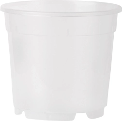 Maceta transparente para orquídeas 14 cm, 1,25 l