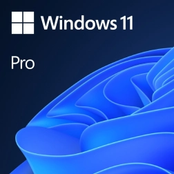 DVD OEM Windows 11 Pro