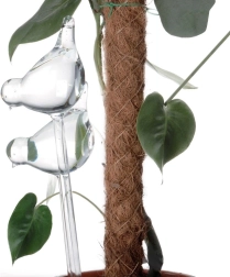 Bolas de riego automáticas de vidrio para macetas – pájaros, 2 uds