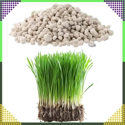 Fertilizante multicomponente para césped NPK 20-8-10 granulado 10 kg