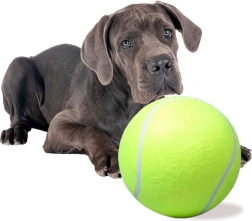 Pelota de tenis gigante para perros XXL 24 cm
