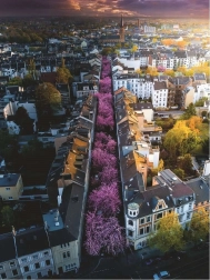 Puzzle Ravensburger de 1500 piezas Bonn, Alemania