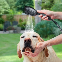 Lavadora portátil para perros y gatos de 8 l con cabezal de ducha con cepillo