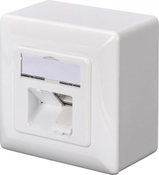 Toma de red de pared CAT 6A 2x RJ45, apantallada