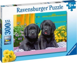 Puzzle Ravensburger Puppy Life de 300 piezas