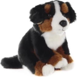 Perro boyero de Berna de peluche 16 cm