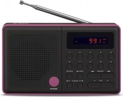 Radio Pliszka USB FM negro