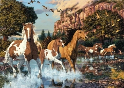 Puzzle Caballos ocultos 1000 piezas – Secret Collection