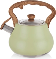 Tetera silbadora de acero inoxidable GREENISH 3 l
