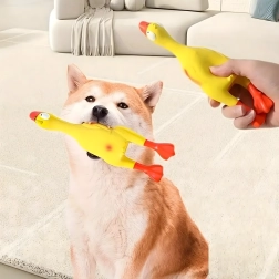 Pollo de goma chirriante para perros 22 cm