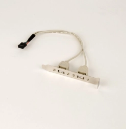 Dos puertos USB en el panel trasero