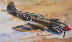 Maqueta del avión Curtiss P-40K Kittyhawk Mk. III 1/72