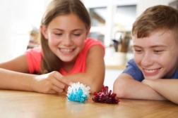 MAC TOYS cristales en crecimiento – set experimental para niños (14+)
