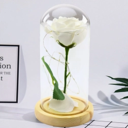 Rosa blanca eterna en cúpula de cristal con iluminación LED 21 × 11 cm