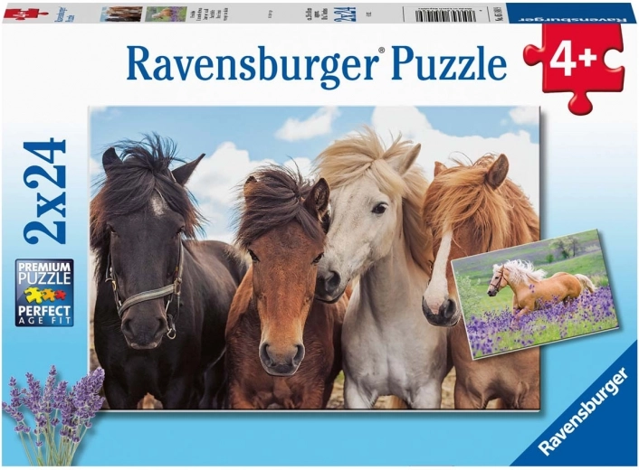 Puzzle Ravensburger Caballos 2×24 piezas