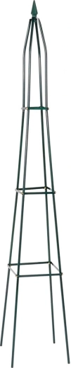 Aros de soporte para guiar los brotes
