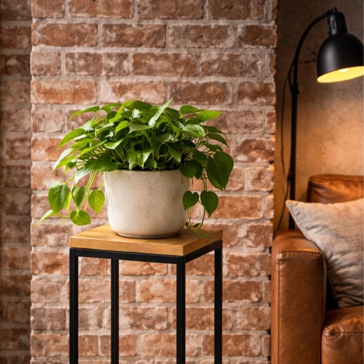 Colocación elevada de las plantas