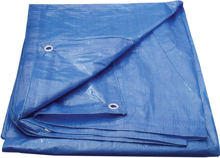 Lona de cobertura con ojales 6 × 10 m Economy, azul