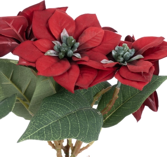 Aspecto realista de hojas y flores