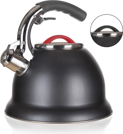 Hervidor silbador de acero inoxidable ADVANTAGE 2,7 l