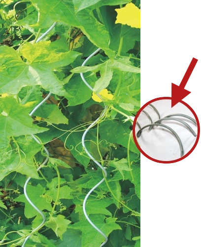 Soporte espiral de aluminio para plantas 10 mm × 120 cm