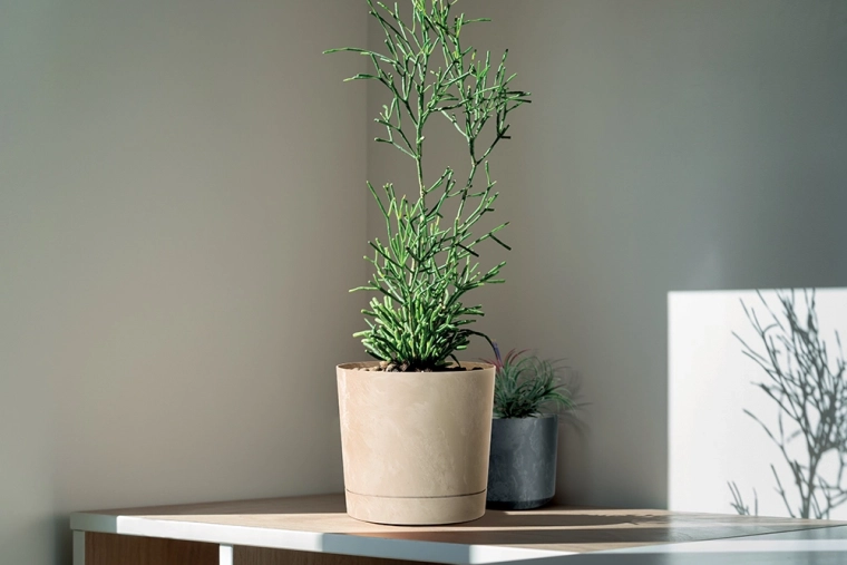 Resistente para interiores y exteriores