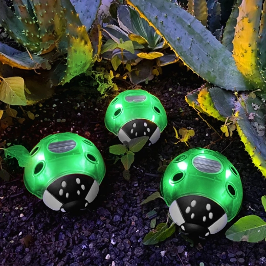 Luz LED solar con forma de mariquita verde y 6 LED de luz blanca cálida
