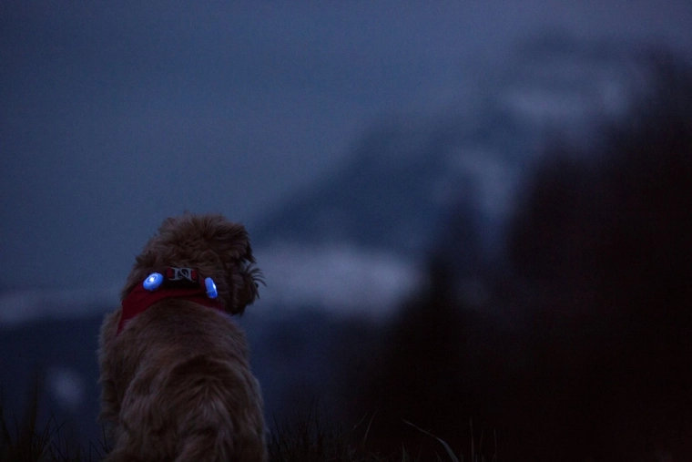 Luz LED brillante para una excelente visibilidad