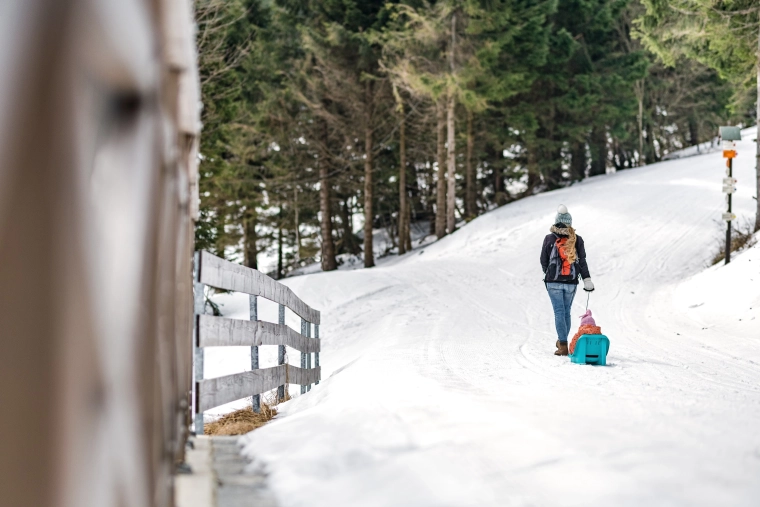 Fácil de tirar sobre la nieve