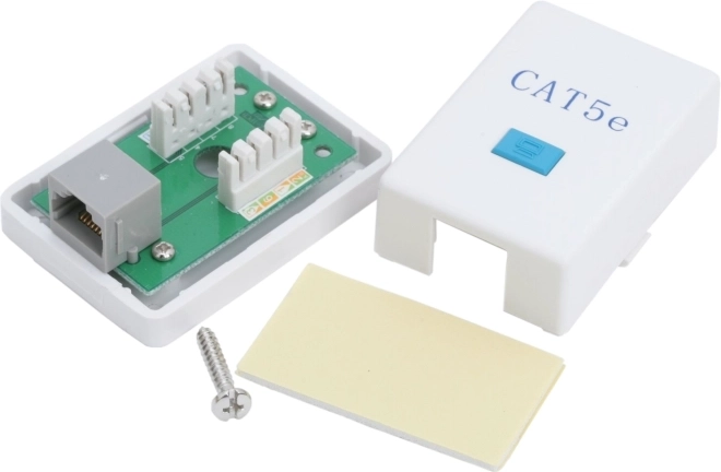 RJ45 con contactos dorados