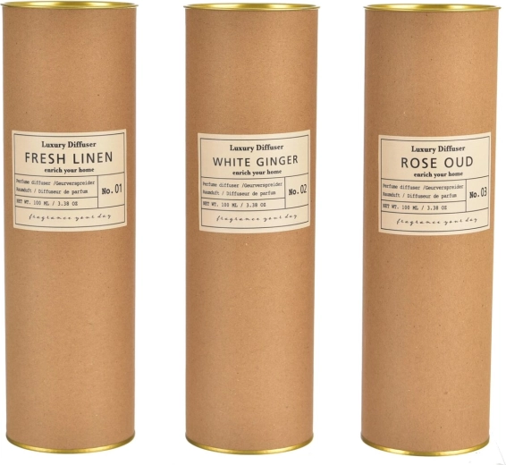 Difusor de aroma con varillas en tubo kraft 100 ml (mix de 3 variantes)