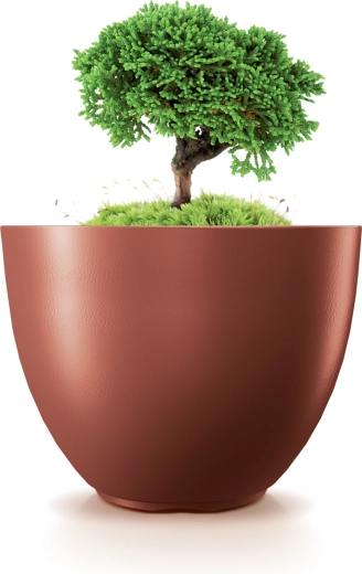 Ideal para plantas de interior y exterior