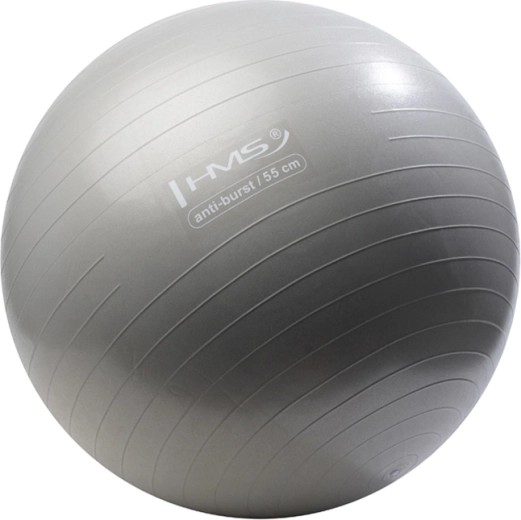 Balón de gimnasia HMS 55 cm gris