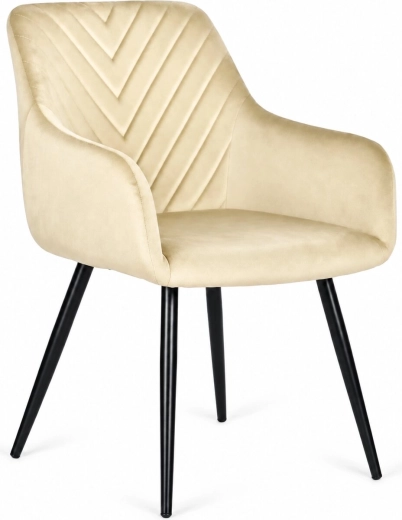Tapizado de terciopelo para un interior elegante