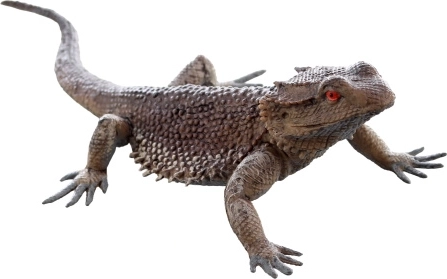 Lagarto de plástico: figura realista para niños