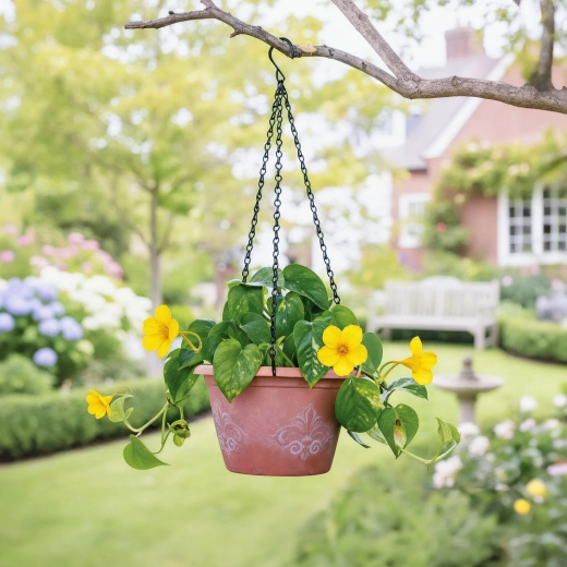 Longitud ideal para plantas colgantes