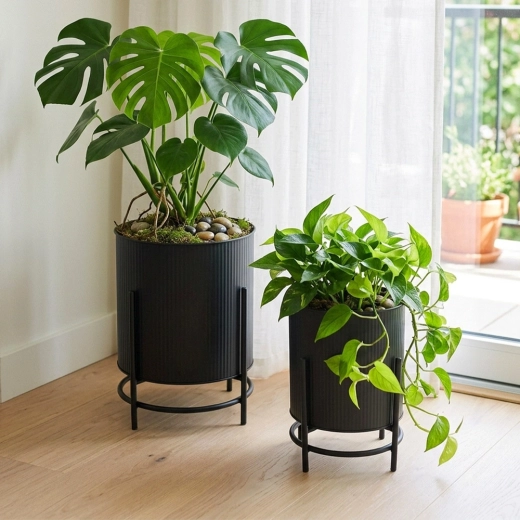 Diseño acanalado y elevación estable de las plantas